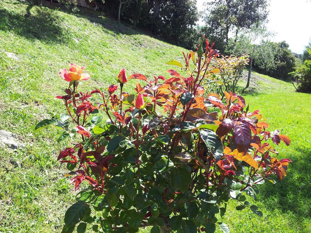 Casa Guaitoli Villa Бани ди Петриоло Екстериор снимка